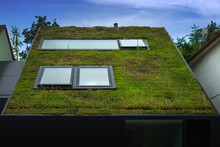 View Of A Modern Sod Roof Or Turf Roof.