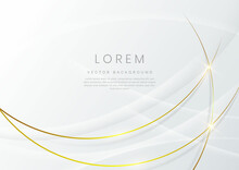 Abstract White And Gray Cruved Luxury Background With Gold Lines Curve Luxury Style.