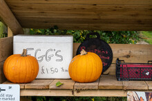 Selling Seasonal Pumpkins And Eggs At Halloween On An Unmanned Farm Counter With Honesty Box