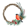 Winter decorative wreath with bullfinch bird. Watercolor illustration. Hand drawn bright rustic decor with eucalyptus, pine, red berries and bullfinch bird. Winter wreath on white background