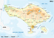 Road vector map of the indonesian island bali