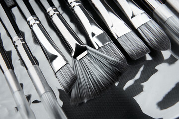 Wall Mural - Different brushes with paints on white background. View of various professional paint brushes isolated on white. Set of brushes for painting in a case