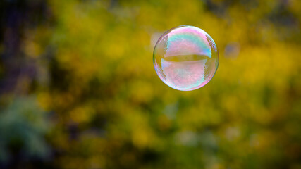 Wall Mural - multicolored soap bubble on a yellow background. Soap bubble. Isolated on yellow, autumn colors. reflex, detailed, close-up. multi-colored ball flies. holiday concept, childhood. close-up