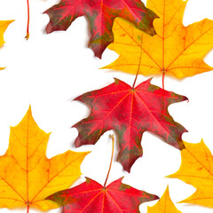 Wall Mural - seamless autumn pattern. pattern maple leaf autumn isolation white background