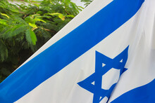 Israeli Flag On A Background Of Green Leaves.