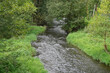 Fast-streaming creek in green woody terrain