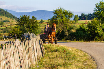 Wall Mural - Agriculture in Transylvania, Romania