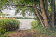 Looking Through To A Dutch Lake Between Willow Trees And Reeds. It Is A Cloudy Day At The End Of The Summer Season.