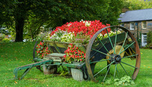 A Vintage Wooden Cart Converted To House A Summer Bloom Of Beautiful Flowers In Beddgelert Caernarfon Wales UK