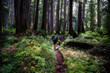 An athletic adventurous male hiker, hiking through a colorful dense Pacific Northwest forest.