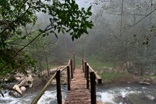 Bridge That Crosses A River And Continues Along A Path Inside The Forest
