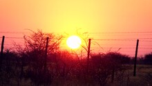 Big, Red African Sun Setting On A Game Farm, Etosha National Park