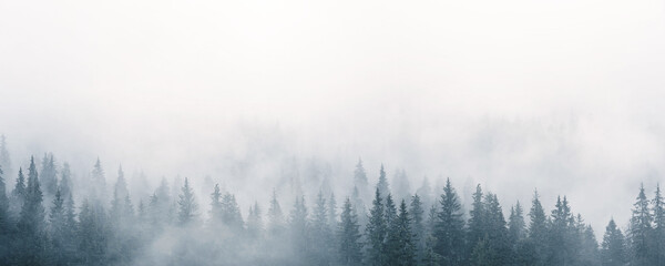 Naklejka na meble Mystic landscape with fog