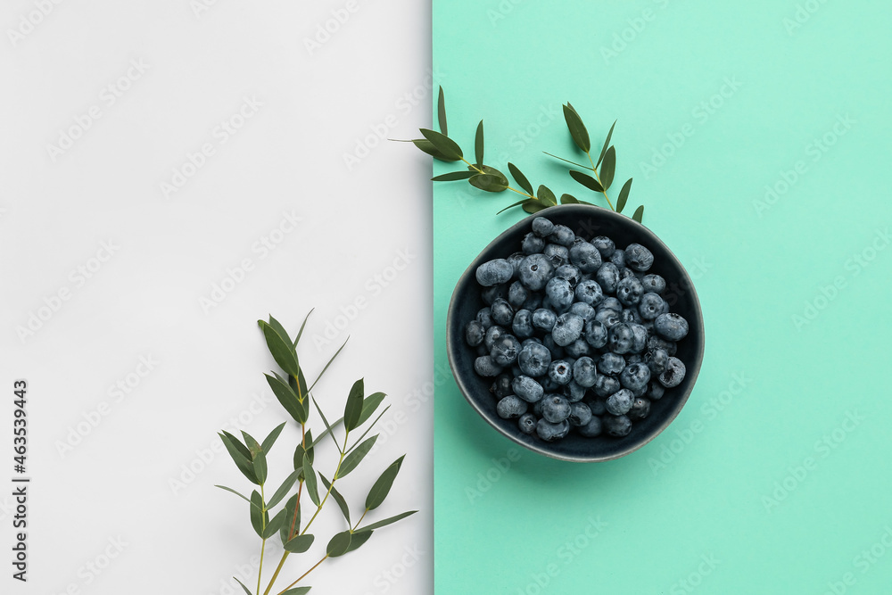 Bowl of ripe blueberry on color background