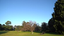 Sunny Day In Werribee Park And People Enjoy Free Time, Melbourne City, Dolly Forward View