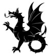 Black vector heraldic wyvern or dragon on the white background.