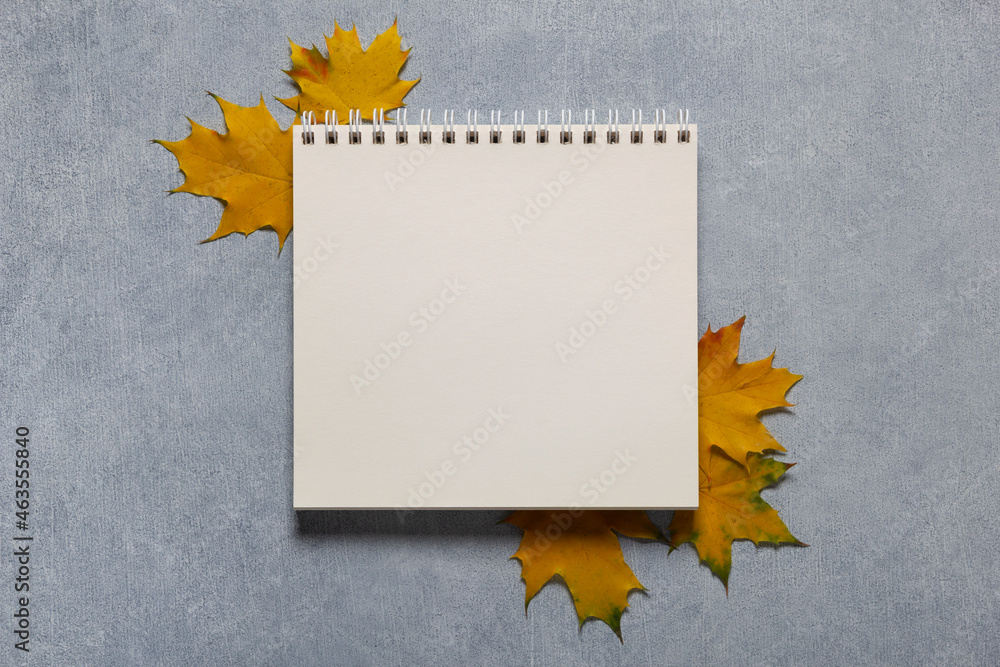 Notes Fall Background White paper note with yellow maple leaves for writing copy space over ...