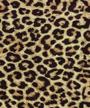 Leopard Fur Texture. Animal Skin Seamless Design
