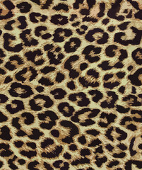 Wall Mural - leopard fur texture. Animal skin seamless design