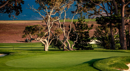 coastline golf course in California