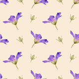 Fototapeta Motyle - Seamless geranium flowers pattern. Watercolor floral background with violet and Purple flower, bud for textile, womens day decor