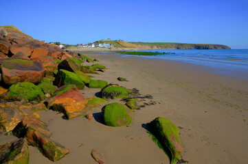 Poster - Aberdaron beach with rocks and green seaweed Llyn Peninsula Gwynedd Wales