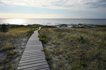 Canvas Print - Wooden path to the beach of the Baltic Sea