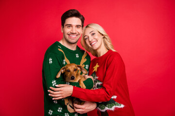 Poster - Photo portrait smiling couple wearing ugly sweaters embracing keeping little friend puppy isolated vivid red color background