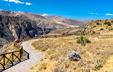 Canvas Print - Hiking trail at the Colca Canyon in Peru