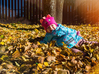 happy little child, girl laughs and plays in the leaves in autumn in nature, walks in the fresh air