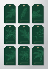 Wall Mural - Christmas Ready-to-Use Gift Tags or Labels Templates Set. Hand Drawn Pine Branches, Strobiles, Mistletoe and Holly Sketches. Trendy Green Backgrounds. Isolated