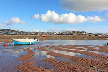 Wall Mural - River Teign at low tide