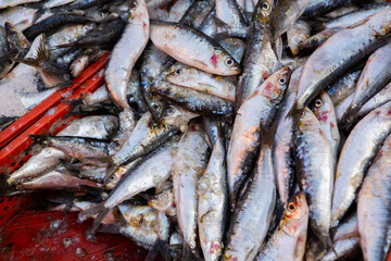 Wall Mural - Morrocan local market on the streets with fish.