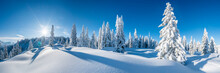 Winterpanorama - Verschneite Winterlandschaft	