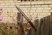 Vintage Bayonet Knife In The Wood