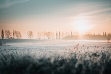 First Sunlight On A Early Cold Winter Morning With Frozen Grass Landscape And Bright Foggy Glow. Misty Winter Morning With Orange Sunrise Countryside Landscape