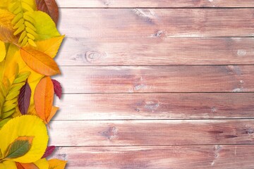 Wall Mural - Multicolored autumn leaves on a wooden background.