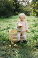 Cheerful Child Offering Apple To Camera