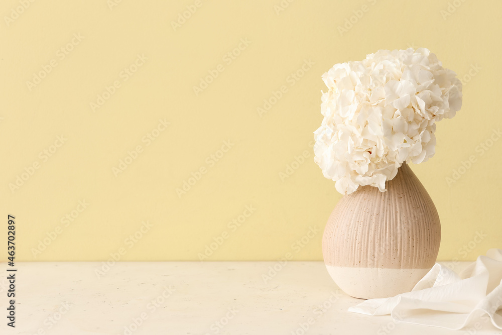 Stylish vase with beautiful hydrangea flowers near color wall
