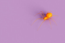 Orange Spiders - Halloween Concept - Copy Space