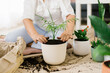 © STUDIO TAURUS/Stocksy - Close up image of woman planting flowers at home