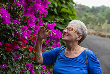 Fragrant Flowers In Costa Rica 