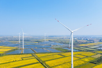 Wall Mural - wind farm in autumn fields
