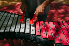 Man's Hands Playing Xylophone