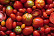 © Nataša Mandić/Stocksy - Fresh tomatoes