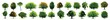 set of grass. Tree Illustrations. Set Trees. Vector. Collection of trees illustrations. Can be used to illustrate any nature or healthy lifestyle topic.