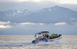 Húsavik, Iceland on august 2, 2021: Tourists on speedboat during starting whale watching tour from Húsavik