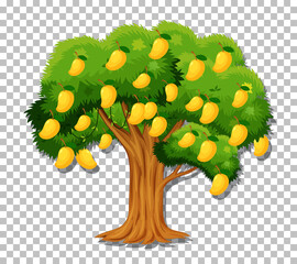 Canvas Print - Mango tree on transparent background