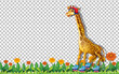 Giraffe wearing roller shoes shoes on transparent background
