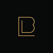 the logo of BL letters with line art. design combination of 2 letters into one logo that is unique and simple. gold texture. isolated black. modern template. for company and graphic design.
